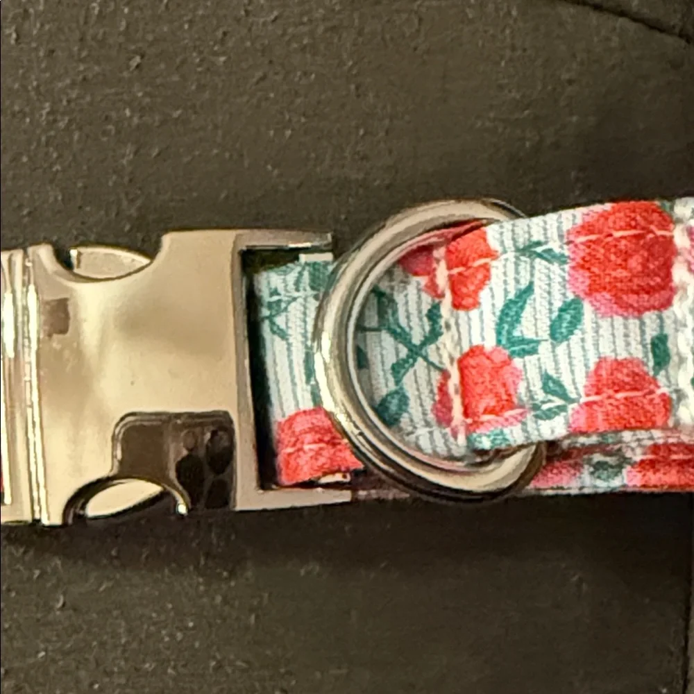 Lionet Paws Floral Dog Collar 10-16”